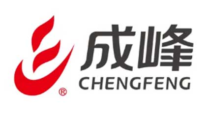 「风采」为上海成峰流体设备提供翻译服务