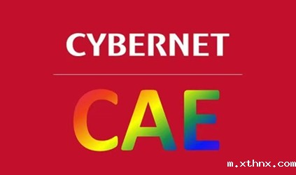 「xthnx风采」betway百度百科为莎益博提供交传口译服务