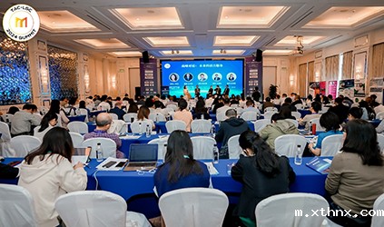 「xthnx风采」betway百度百科参加2024语言服务创新发展国际（厦门）论坛