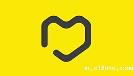 xthnx能翻译案例——信息技术