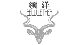 领洋专利事务所