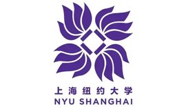上海纽约大学