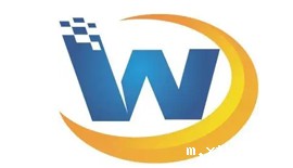 Wanya Information Consulting