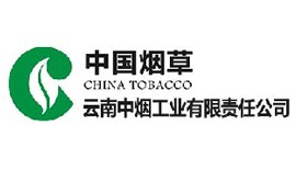 Yunyan International